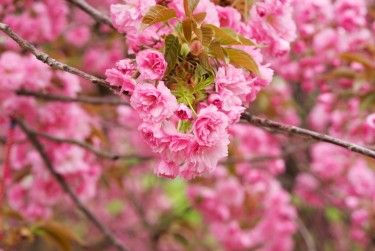 温州平阳线下个人借款平台一站式服务，轻松解决资金难题