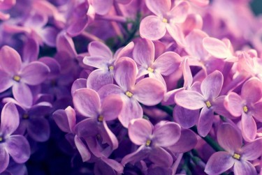 温州平阳企业急用钱贷款攻略：快速融资解燃眉之急